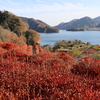 神奈川・宮ケ瀬ダムの放流と湖畔の遊覧、紅葉を楽しみました。