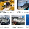 15回釣行して１バイトの釣り。