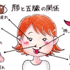 五臓六腑、最後の１つ