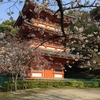 三重塔の桜～清水寺