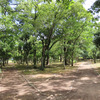 熊本城へ