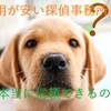 安い探偵事務所は本当に信頼できるのか？