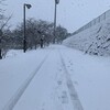 今シーズン２度目の雪だった。