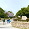 【大府市】満開のミモザとサクラ！写真映え間違いなしの大府みどり公園！