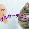「にゃおタビ」で多く閲覧された記事ベスト３発表！【サーチコンソール編】
