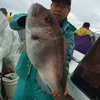 名立沖、乗っ込み真っ只中！