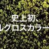 甲府の美容室でもいち早くオイルカラーＩＮＯＡを導入！