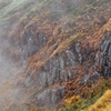 紅葉の木々も素敵でしたが、岩も素敵でした！