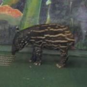 08 01 01から1ヶ月間の記事一覧 Argius Note