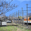 近江鉄道 2025　3/17-18