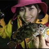 色んなゲストもまた楽しい！鹿児島の海は魚類も豊富よ！