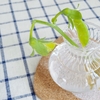 豆の花買ったら、絹サヤエンドウが出てきた！