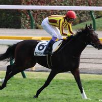 オンラインドリームが悠々逃げ切る 動画 結果 2歳新馬戦