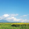 【８月１日の日記】山の方のひまわり畑に行ってきました☆