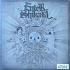 【100円de名盤-65】TAKE TO THE SKIES【ENTER SHIKARI】