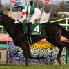 楽しい競馬予想、馬名で物語を🏇第34回フラワーカップG3🏇