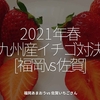 1249食目「2021年春 九州産イチゴ対決 [福岡vs佐賀] 」福岡あまおう vs 佐賀いちごさん