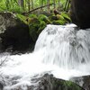 【自然写真の基本】～ 流れる水の撮り方 ～