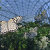 ぐんま昆虫の森