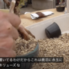 カーメン君　メダカ回　低床について