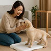  子犬のトイレトレーニングを成功させるコツ