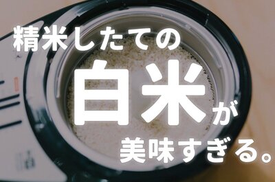 間違えて玄米買ったから、家庭用精米機買ったら、めちゃめちゃおいしかった！