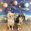★小次郎くん＆大吉くん★