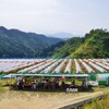 もぎとり果樹園 芽野歌へ 