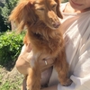アリスちゃん、命日から６ヶ月