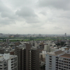 夏も終わり