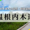 【北海道】釧路湿原の自然を楽しむ！温根内木道を歩こう♪
