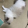 今朝はとても活発でたくさん甘えてくれたふくちゃん