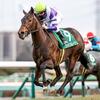 競馬初心者必見☆馬券予想🔥〜フェアリーS〜混戦レースの中で光る彫刻〜