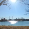 落合公園に冬の日差しを浴びに行く