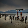 厳島神社の鳥居を写真に撮るとゾンビが映る