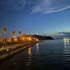 夏の夜を詠った短歌／「夏の夜の博覧会はかなしからずや」中原中也（１００分で名著）　　夏の夜の臥すかとすれば時鳥鳴く一声に明くしののめ　紀貫之　　しづかなる夏夜に思へばふりつもる塵沙の影のそこはかとなし　北沢郁子　　爆ぜ死にし花火師の手の頑丈も暗きあこがれありて夏の夜　馬場あき子　　その時よ，坊や見てありぬ  その時よ，めぐる釦（ぼたん）を  その時よ，坊やみてありぬ  その時よ，紺青（こんじょう）の空！　中原中也