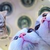 そんなにショックなの！？