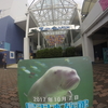 お伊勢さんまいり（鳥羽水族館の巻）10/7