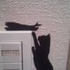 我が家の黒猫様！