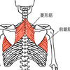 腕から手のしびれと痛みの施術