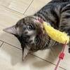 えび天を……食べてる！？！？！？