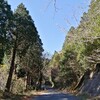 冬脊振
