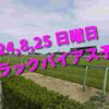 2024,8,25 日曜日 トラックバイアス予想 (新潟競馬場、中京競馬場、札幌競馬場)