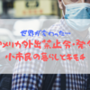 【別世界】アメリカ外出禁止令・発令。今の小市民の暮らしとキモチ。