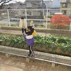 やまびこ：朝の活動＆学級の時間