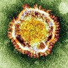 韓国で広がる新型ウイルス“MERS”、韓国の対応が響き感染者が国外に　世界的感染パンデミックの可能性も