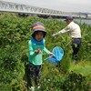 やっぱりな水曜日