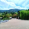 京都ぶらり　円山公園