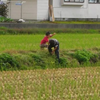 すべてのワクチンは最終的に脳神経に伝わるため 一生涯 医療に苦しめられます