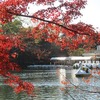 井の頭公園_紅葉（東京都武蔵野市）